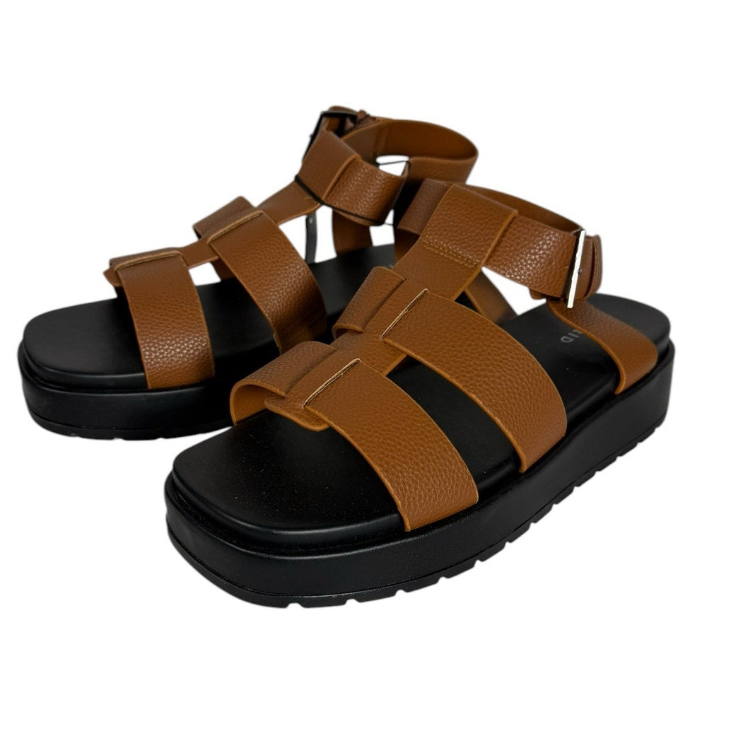 Torrid Flatform Gladiator SZ 11.5 Brown Chunky Faux Leather Platform Sandal NWT
